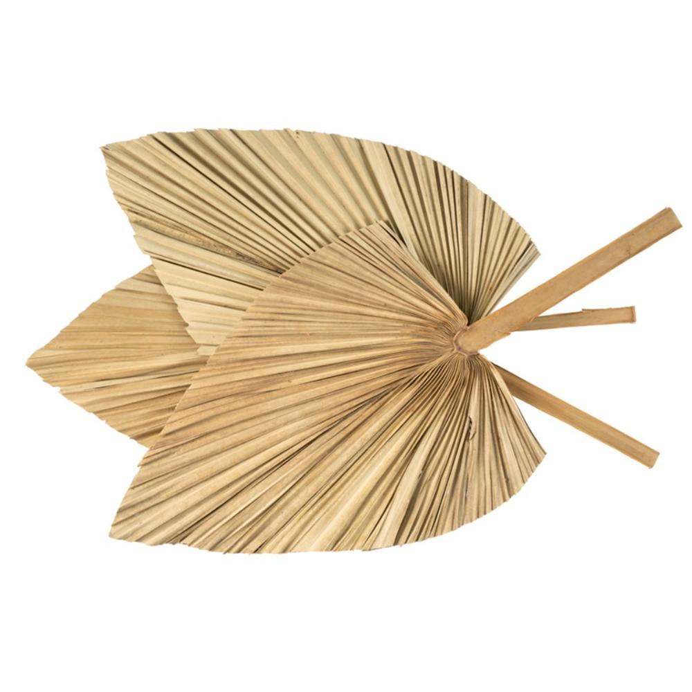 Decoration Party Boho Bohemian Trimmed Tropical Palm Spears Fan Leaf Leaves Dried Plant