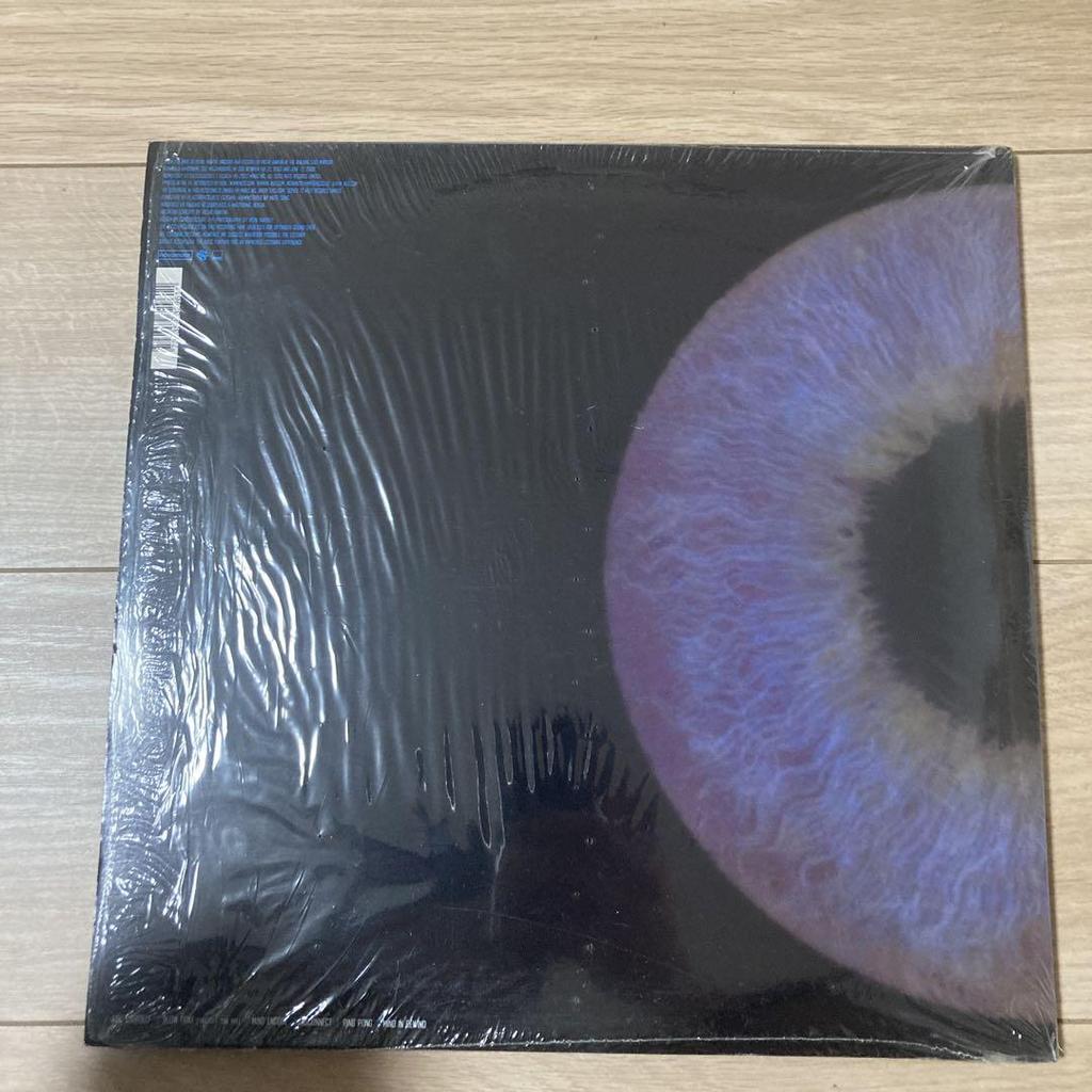 [USED] Extremely rare PLSTIKMAN CLOSER analog record