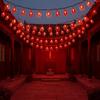 Red Color New Year LED String Lighting Chinese Style Atmosphere Lamp  Christmas Tree