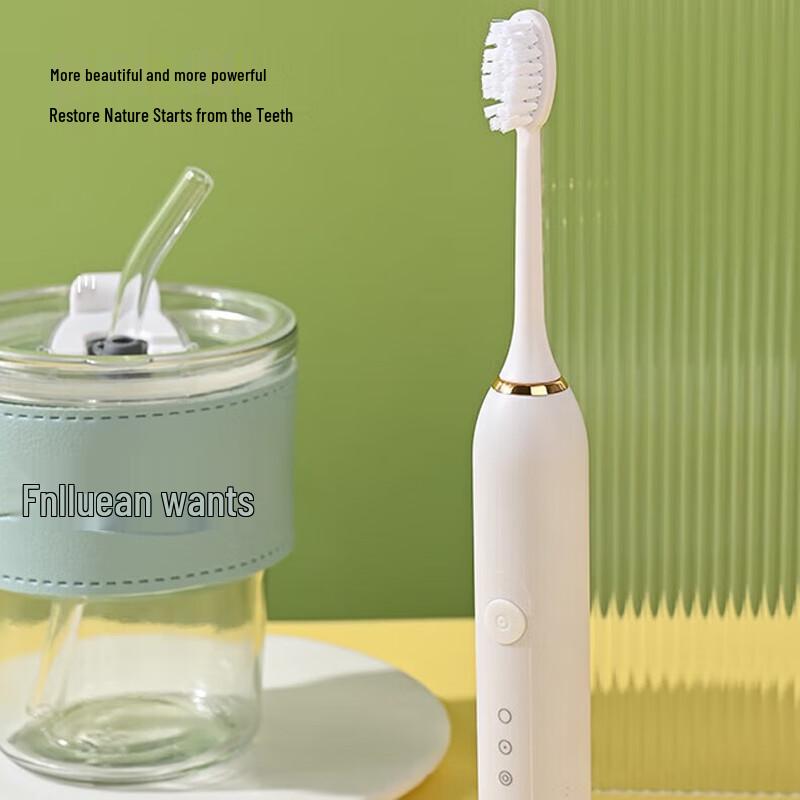 

Yinglun Zunshang Premium Sonic Toothbrush Set