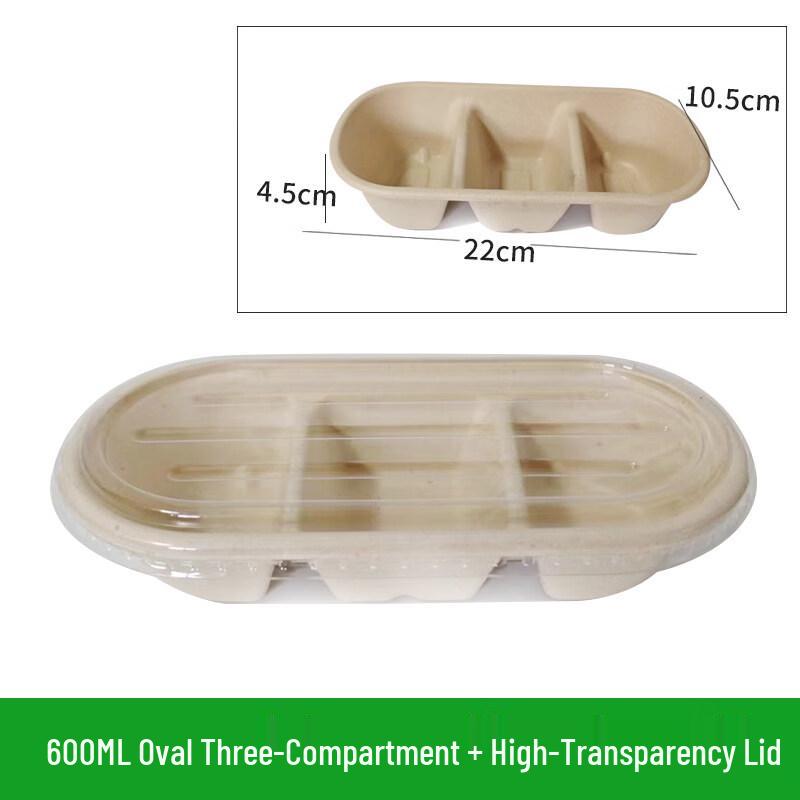 ZISIZ Disposable Lunch Box