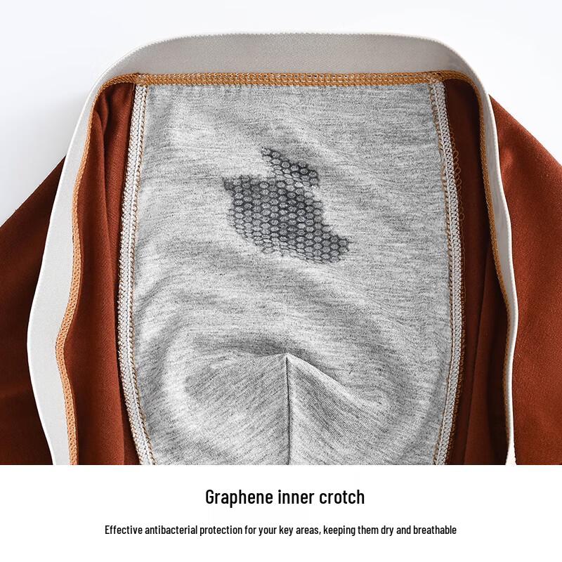 Cotton 13 Men's Ginseng Goji Anti-Bacterial Boxer Briefs - 4 Pack