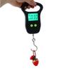 Kitchen Weight Tool Fish Hook Hanging Scale Digital Luggage Scale Electronic Weighting Scale