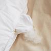 Hengyuanxiang 1JG1228 White Duck Down Quilt