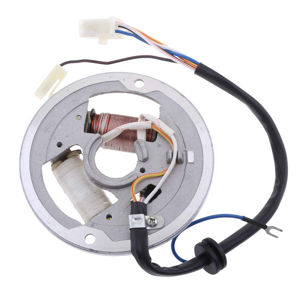 Magnetic Stator Ignition Generator 2 Pole Coil Stator Coil for Yamaha Scooter ATV Motorcycle