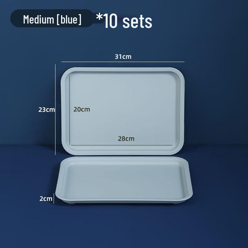 Small White Rectangular Plastic Serving Tray