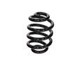 Ft11363 Fast Rear Suspension Spring
