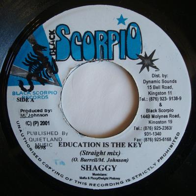 7inch Record SHAGGY - Education Is The Key 0698 Black Scorpio 2001 Jamaica Reggae, Ska & Dub Used