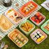 Disposable Picnic Food Containers