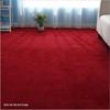 Fire-Retardant Carpet for Offices, Gyms, Stairs, Yoga Rooms, Studios, and Stages