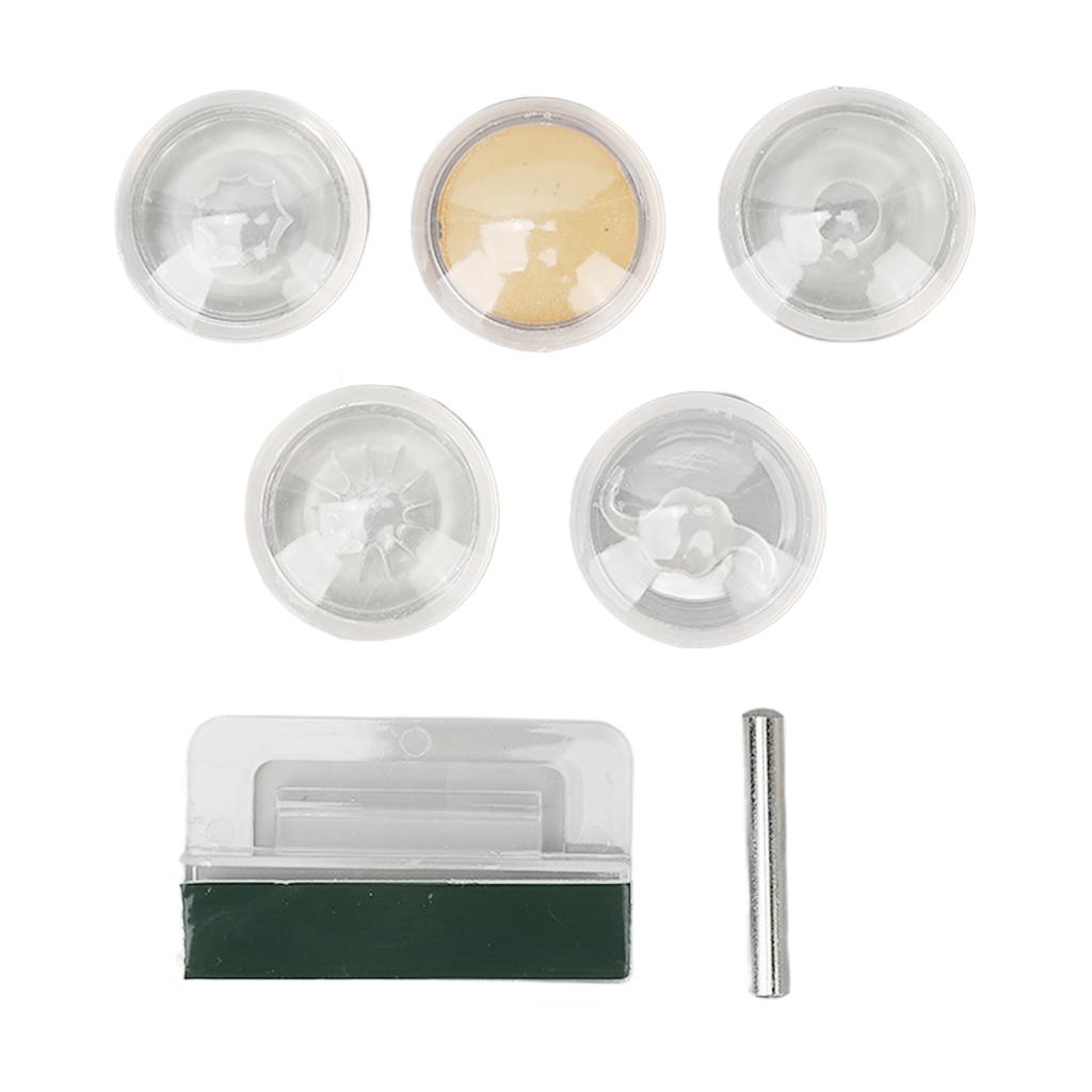 Enlarged Human Eye Anatomical Model Accurate Shows Optic Nerves Cornea Iris Lens Medical Eyeball Model