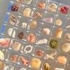 Acrylic Magnetic Seashell Display Box 36/64/100 Grids Rock Display Case Rock Collection Box for Bead Nail Jewelry