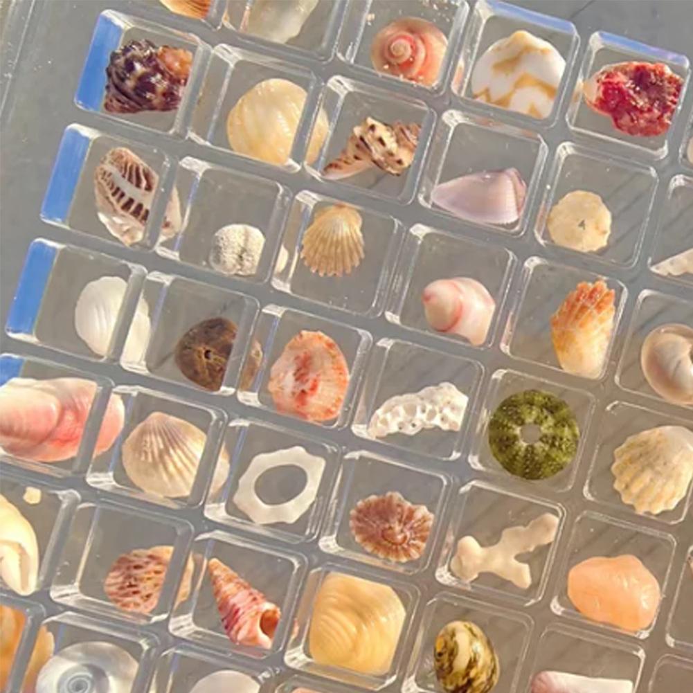 Acrylic Magnetic Seashell Display Box 36/64/100 Grids Rock Display Case Rock Collection Box for Bead Nail Jewelry