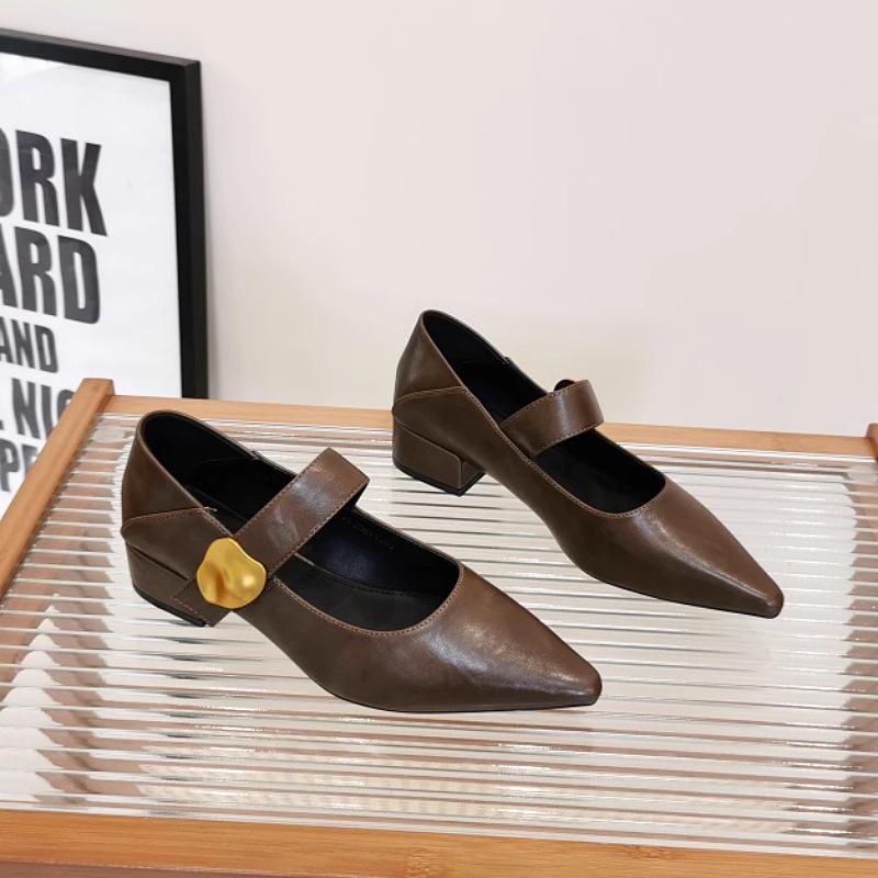 French Thick Heel Velcro Shallow Mouth Single Shoes Women's 2025 Autumn New Pointed Foreign Style Versatile Mary Jane Small Leather Shoes