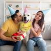 9 Pieces Dog Bandanas Scarf for Happy Halloween Birthday Party Supplies - Washable Triangle Kerchief Bibs for Cats and Pets - Costume Supply