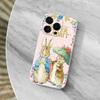 Cute Role P-Peter R-Rabbit Phone Case For iPhone 16,15,14,13,12,11 Pro,Max,Plus,X,XS,XR,SE,Mini Transparent Soft Cover