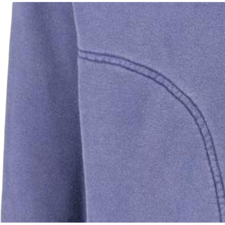 Carhartt WIP Embroidered Logo Loose Sweatshirt Men Sweatshirts Purple A212030PURPLE