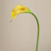 3pcs EVA Artificial Calla Flower 50cm Faux Flower Bouquet  Table Decoration