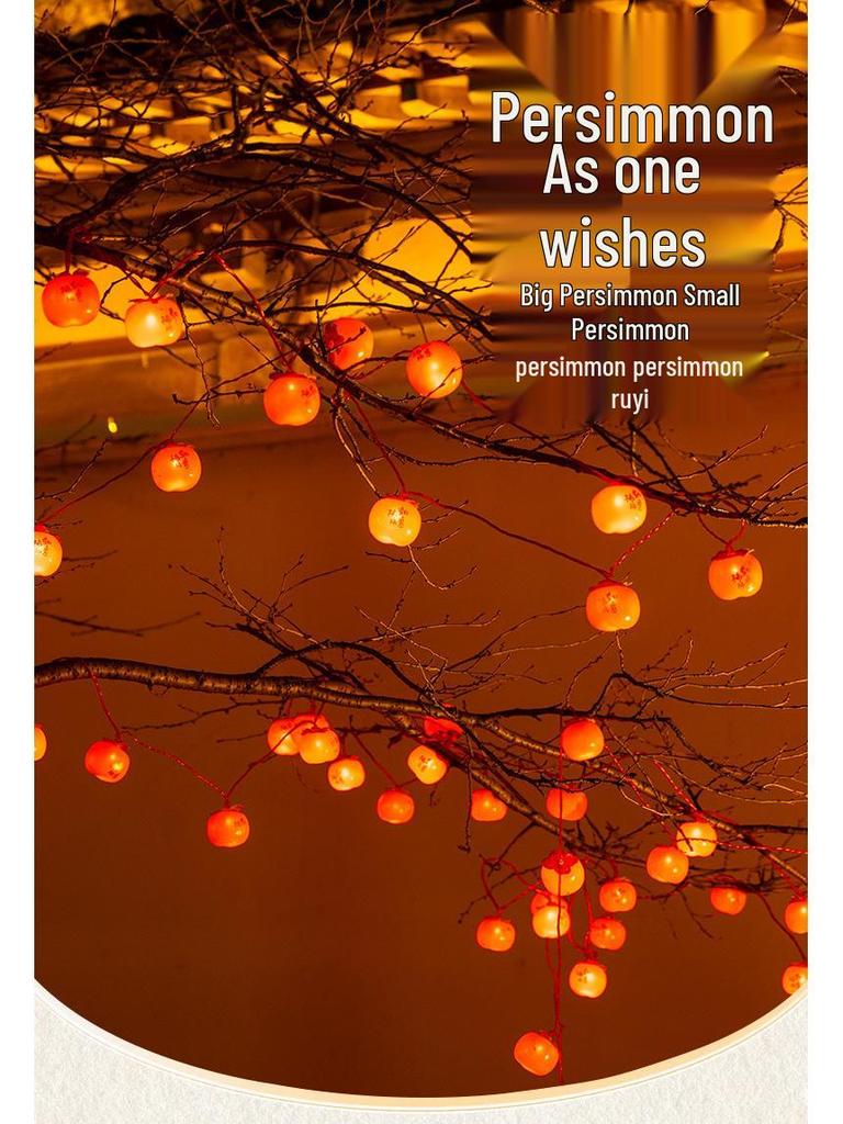 Spring Festival Double Happiness Red Lantern LED String Lights - Festive New Year Decoration
