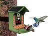 DENVER BFC-1200 - Bird Feeder Camera Trap with Night Vision, Denver