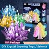 Science Small Experiment Children Magical Fun Crystal Growing Kit  Diy Handmade Gifts Enlightenment Steam Toys Early Education