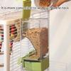 Large Capacity Clear Bird Feeders Clear Bird Feeders Birdwatching with Stand