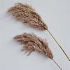 Junran Large Pampas Grass Bouquet - Natural Dried Flowers for Rustic Wedding & Photo Decor