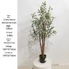 Olive Tree Potted Plant - Indoor Decor Simulation for Living Room