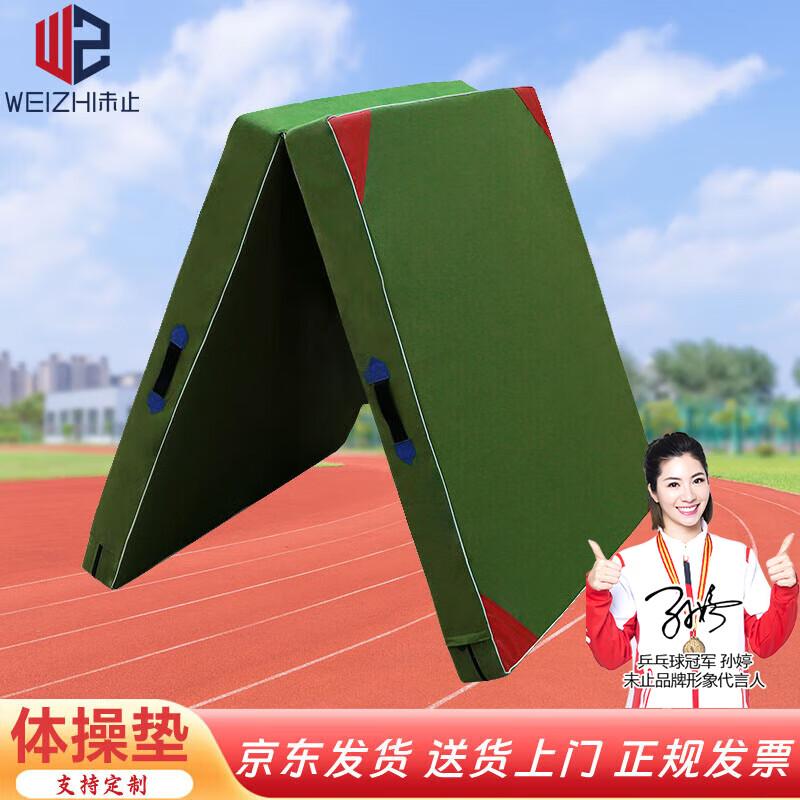 Weizhi Gymnastics & Sit-up Mat 120x60x5cm