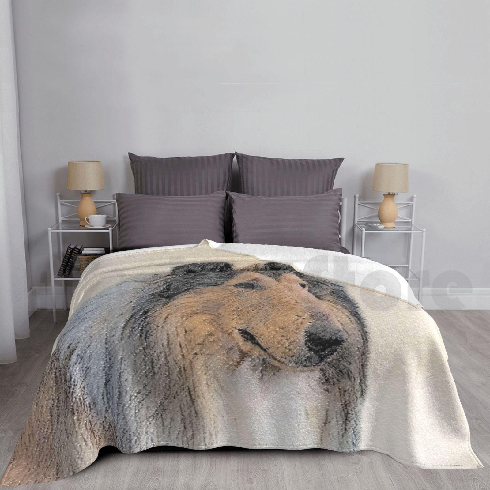 Collie ( Rough ) Blanket For Sofa Bed Travel Collie Rough Collie Rough Scottish Collie Rough Coated Collie Size: 75*100cm, Weight: 230 GSM