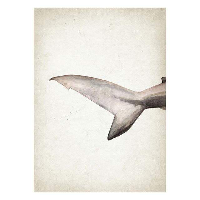 Marine Animals Canvas Paintings Great White Shark Posters and Prints Killer Whale Wall Art Picture for Home Decoration No Frame