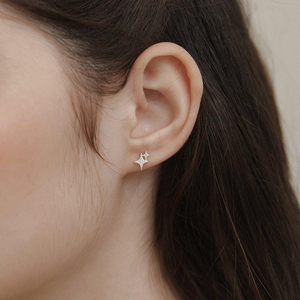 (925 Silver) Super Shine Earrings Ec3137