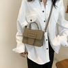 Chic And Trendy Women's Handbag Minimalist Street Style Pu Small Crossbody Bag Spring Collection