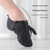 Unisex Canvas Jazz & Ballet Dance Shoes for Kids and Adults