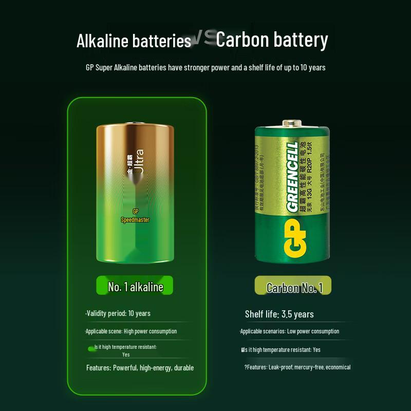 GP D Size 1.5V Alkaline Batteries (2-Pack) CN plug (adapter included)