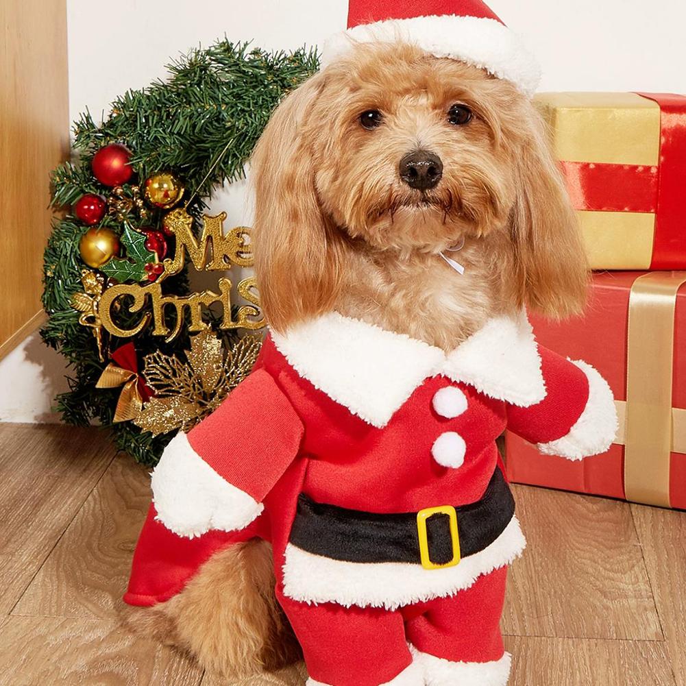 Pet Xmas Santa Suit With Cap Easy To Wear, Adjustable Design. For Xmas Party