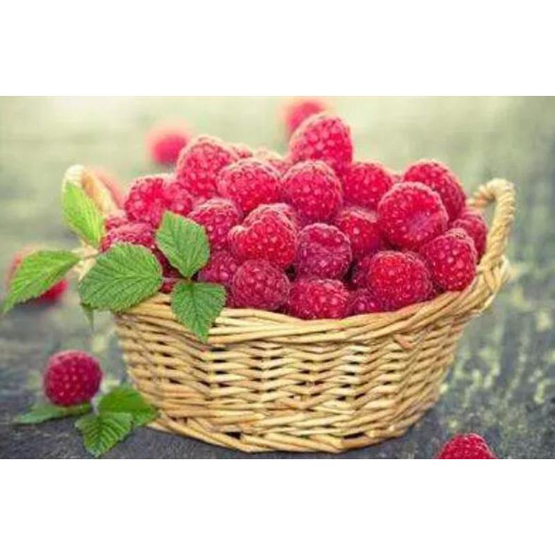 5D DIY Diamond Painting Flowers Rose In Vase Cross Stitch Kit Full Drill Embroidery Mosaic Wall Art of Rhinestones Decor Gift