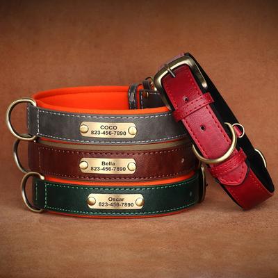 Köpek – Köpek Tasmaları ve Tasma Kayışları