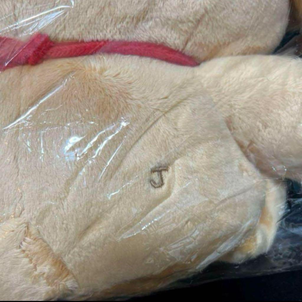 [USED] ENHYPEN Jake Plush Toy 40cm Doll Master Ennimals