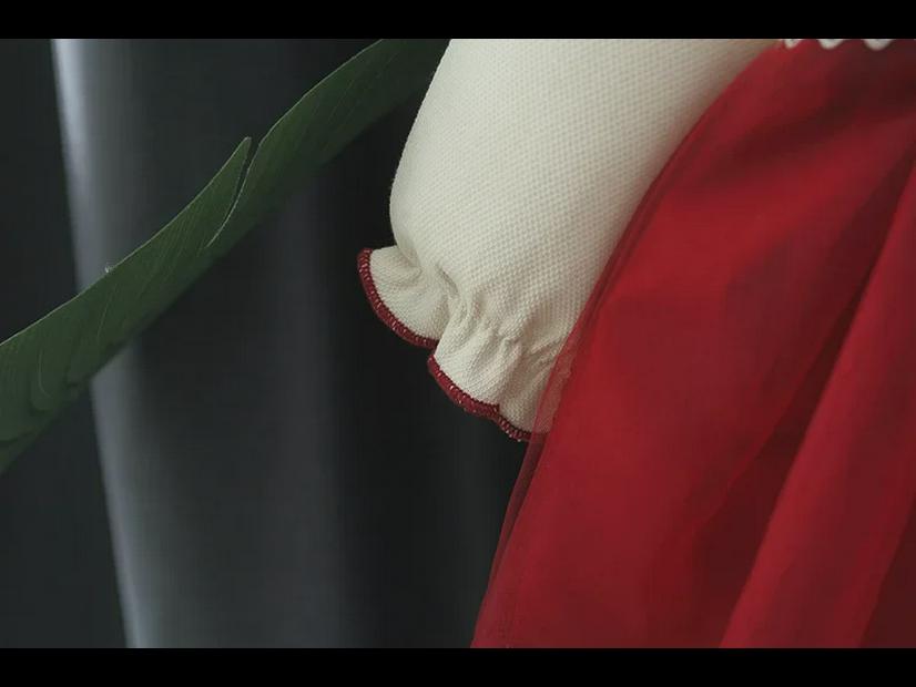 Frühlingsprinzessin Besticktes Langarmkleid für Mädchen