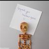 Movable Skull Refrigerator Magnet 3D Printed Joints Movable Halloween Toy Horror Luminous Skull Ornaments Refrigerator Magnet