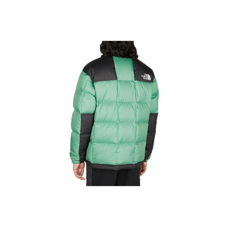 THE NORTH FACE Jackets Unisex Green Stand Collar Moderate Other NF0A3Y23-N11