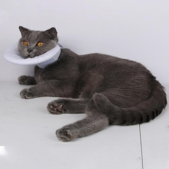 Krage for kjæledyr etter operasjon Justerbar hundekatt nakkekjegle Myk anti-slikking beskyttende skjold for sårheling