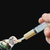 New Bird Parrot Feeder Spoon Pointed Baby Bird Milk Medicine Feeding Tools Baby Bird Feeding Spoon Feeding Pet Bird Supplies