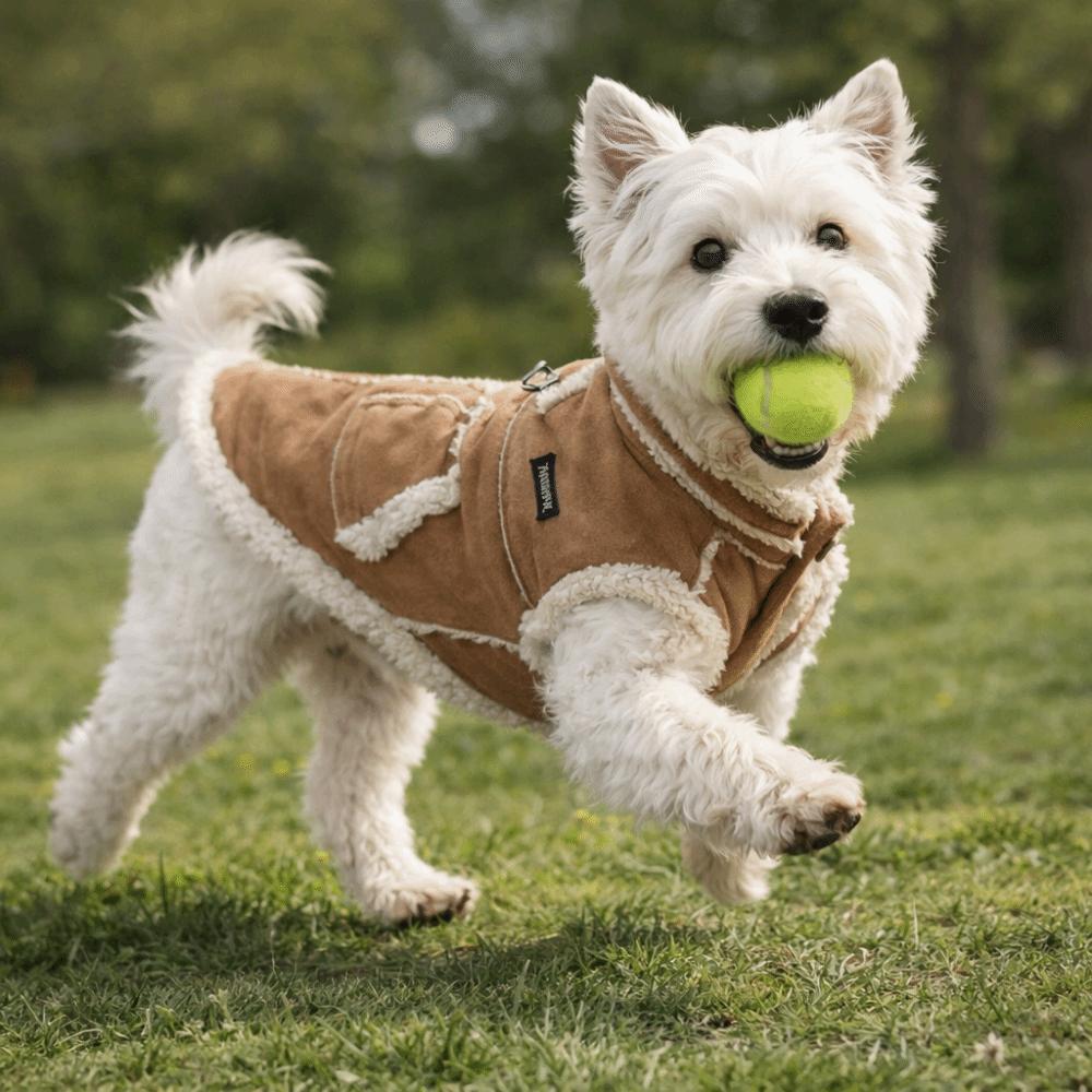 with Traction Warm Dog Winter Waistcoat Comfortable Wind Breaker Thicken Dog Coat Sleeveless Dog Vest Jacket For Cold Weather