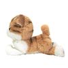 Sunlemon Kitten Scottish Fold Brown x 8 x cm Stuffed Animal Cat 16.7 18.4 P-4222