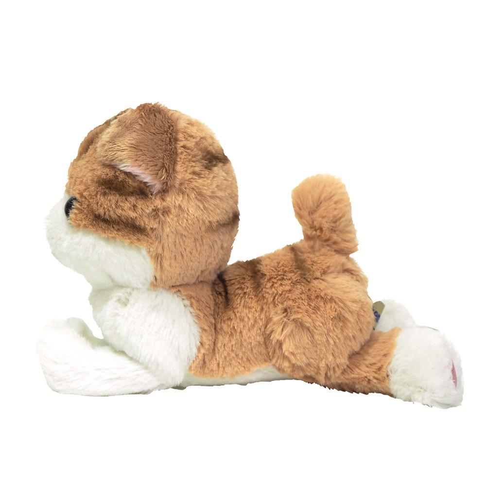 Sunlemon Kitten Scottish Fold Brown x 8 x cm Stuffed Animal Cat 16.7 18.4 P-4222