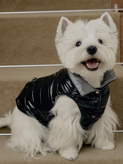 КРУКЧИХУАХУА Wellon Глянцевый Наполнитель (2color) Custard Pudding | Custard Pudding