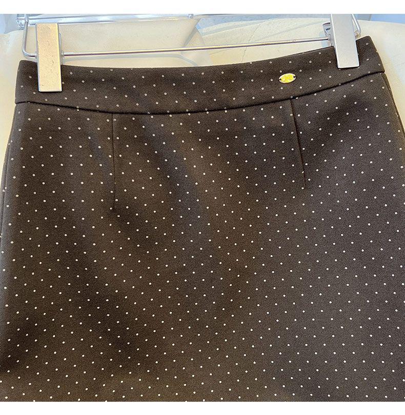 Women's Gray A-line Polka Dot Woolen Skirt - 2025 Spring/Autumn Collection