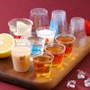 Disposable Mini Tea & Wine Tasting Cups